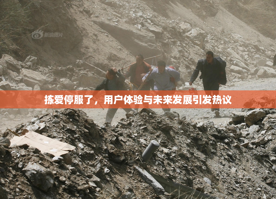 拣爱停服了，用户体验与未来发展引发热议