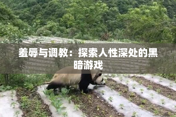 羞辱与调教：探索人性深处的黑暗游戏