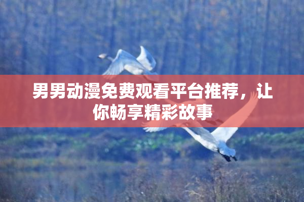 男男动漫免费观看平台推荐，让你畅享精彩故事