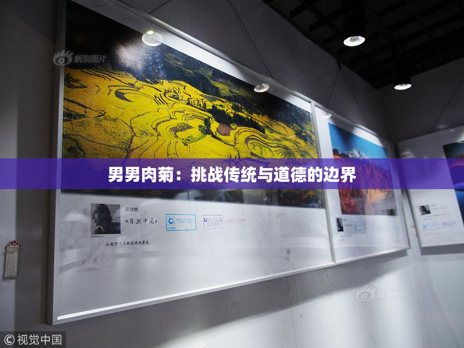 男男肉菊：挑战传统与道德的边界