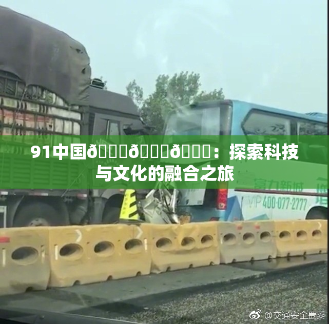 91中国🍆🍑🔞：探索科技与文化的融合之旅