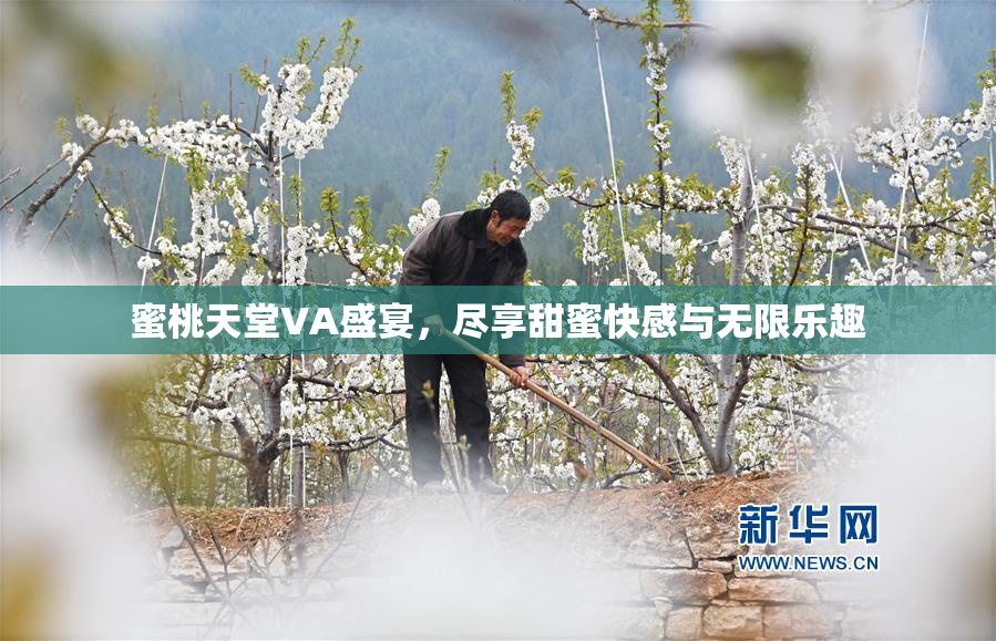 蜜桃天堂VA盛宴，尽享甜蜜快感与无限乐趣
