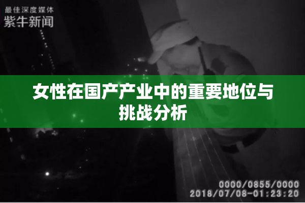 女性在国产产业中的重要地位与挑战分析