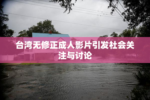 台湾无修正成人影片引发社会关注与讨论