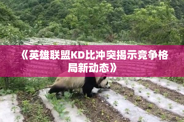 《英雄联盟KD比冲突揭示竞争格局新动态》