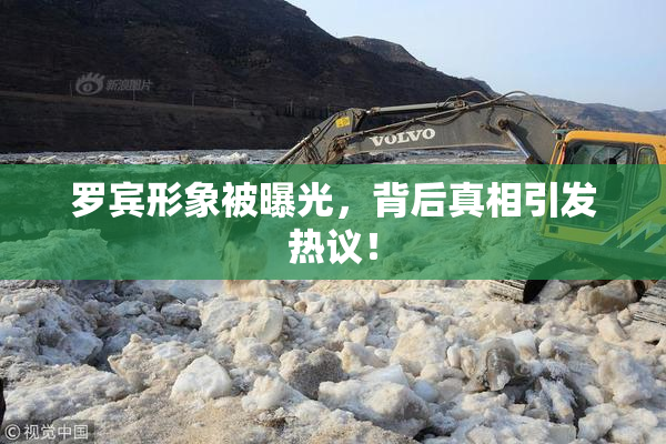 罗宾形象被曝光，背后真相引发热议！