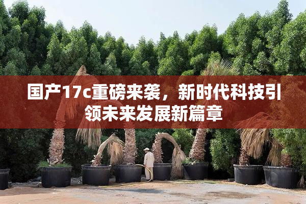 国产17c重磅来袭，新时代科技引领未来发展新篇章