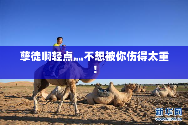 孽徒啊轻点灬不想被你伤得太重！
