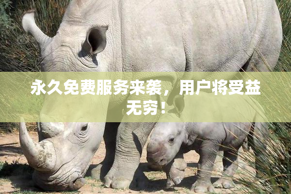 永久免费服务来袭，用户将受益无穷！