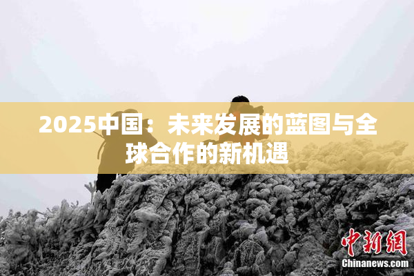 2025中国：未来发展的蓝图与全球合作的新机遇