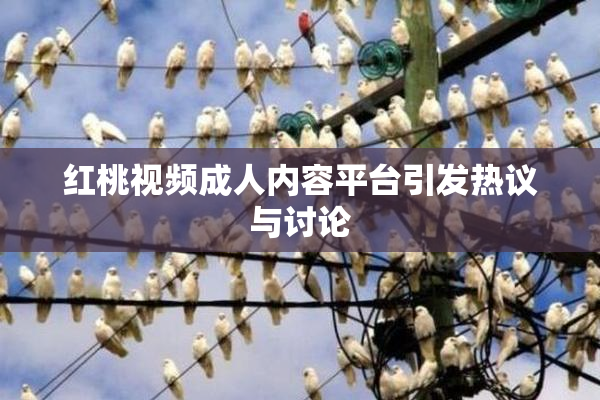 红桃视频成人内容平台引发热议与讨论