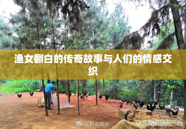 渔女翻白的传奇故事与人们的情感交织