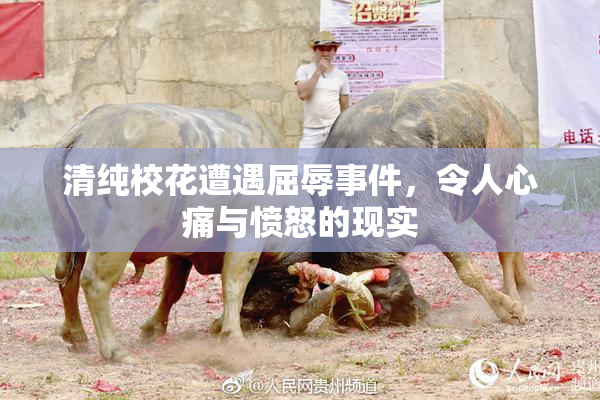 清纯校花遭遇屈辱事件，令人心痛与愤怒的现实