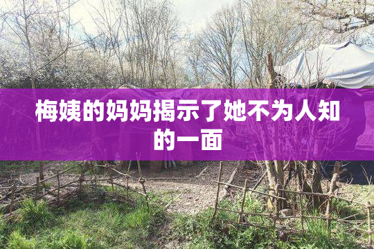 梅姨的妈妈揭示了她不为人知的一面