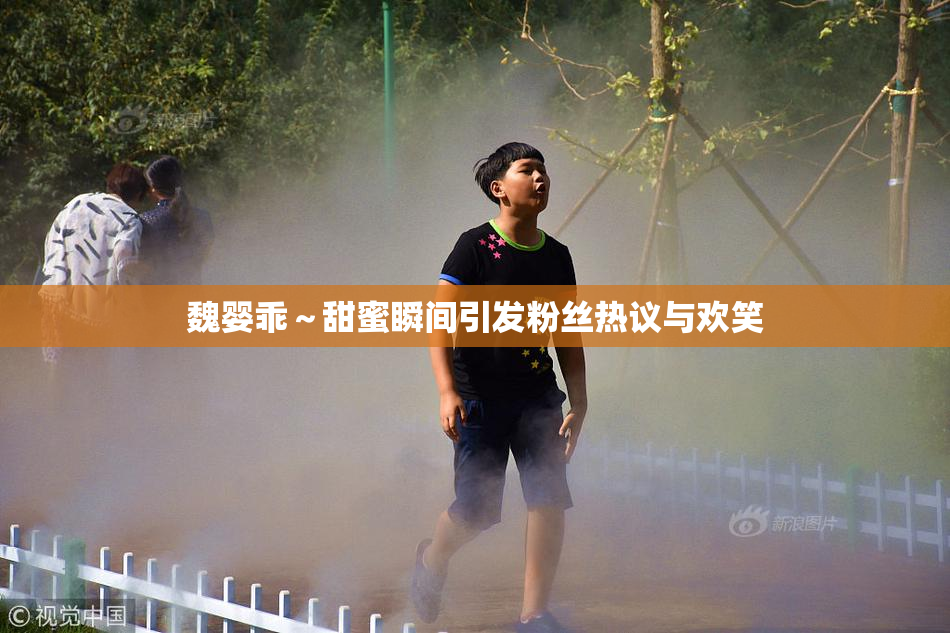 魏婴乖～甜蜜瞬间引发粉丝热议与欢笑