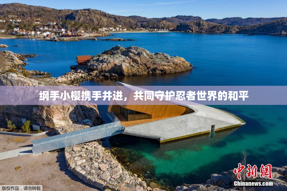 纲手小樱携手并进，共同守护忍者世界的和平