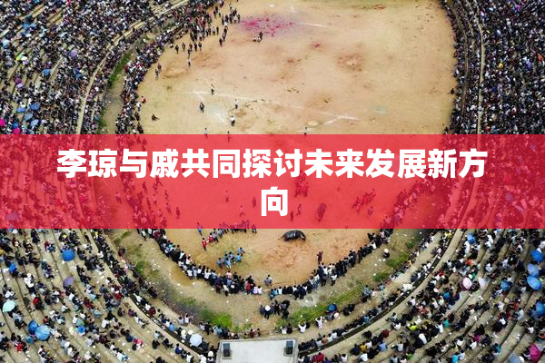 李琼与戚共同探讨未来发展新方向