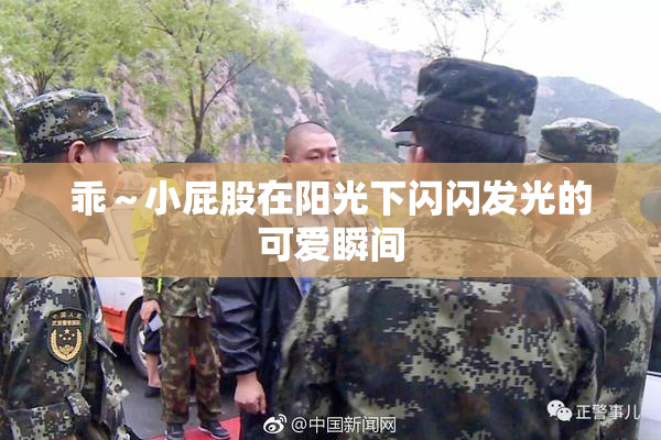 乖～小屁股在阳光下闪闪发光的可爱瞬间