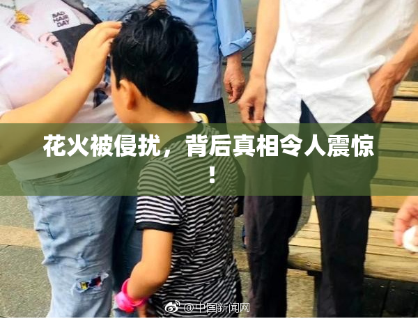 花火被侵扰，背后真相令人震惊！