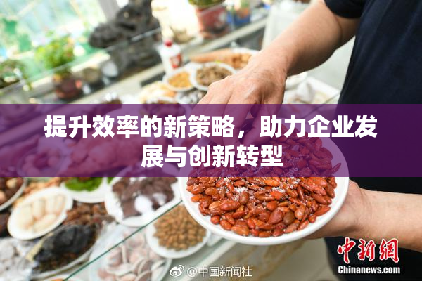 提升效率的新策略，助力企业发展与创新转型