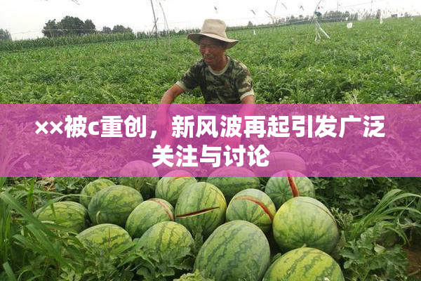 ××被c重创，新风波再起引发广泛关注与讨论