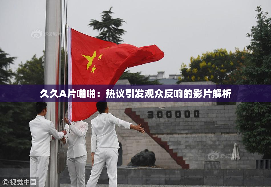 久久A片啪啪：热议引发观众反响的影片解析