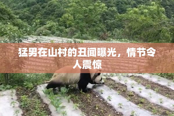 猛男在山村的丑闻曝光，情节令人震惊