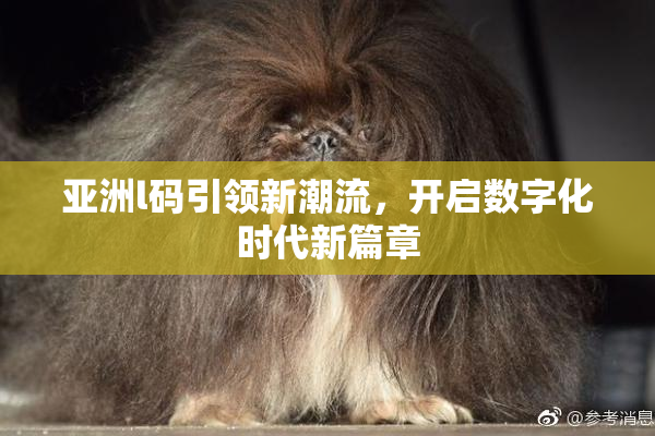 亚洲l码引领新潮流，开启数字化时代新篇章