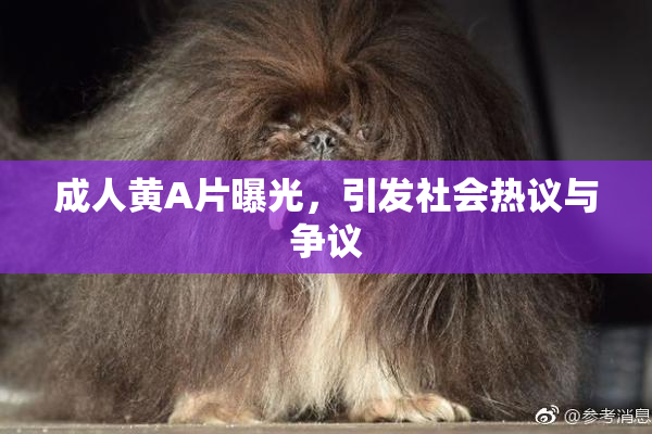 成人黄A片曝光，引发社会热议与争议