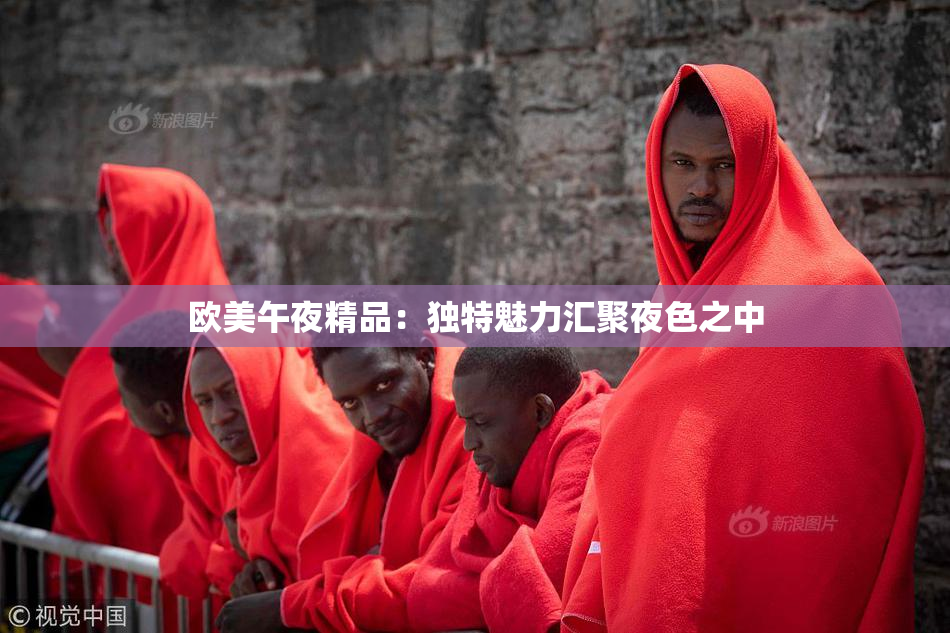 欧美午夜精品：独特魅力汇聚夜色之中