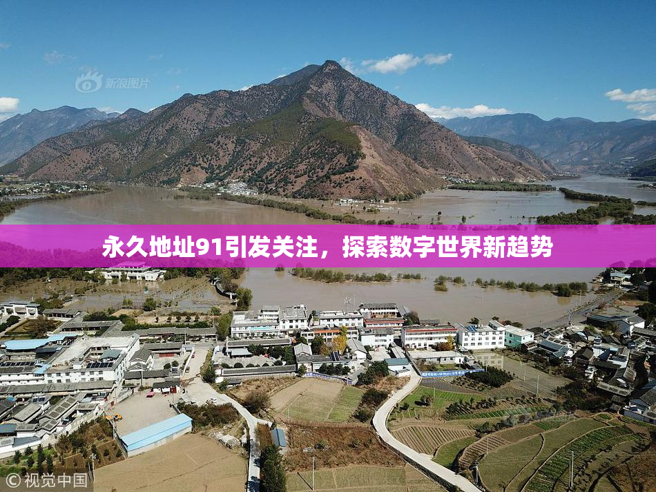 永久地址91引发关注，探索数字世界新趋势