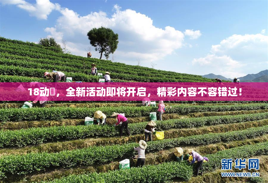 18动滿，全新活动即将开启，精彩内容不容错过！