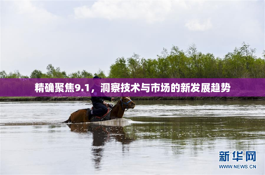 精确聚焦9.1，洞察技术与市场的新发展趋势