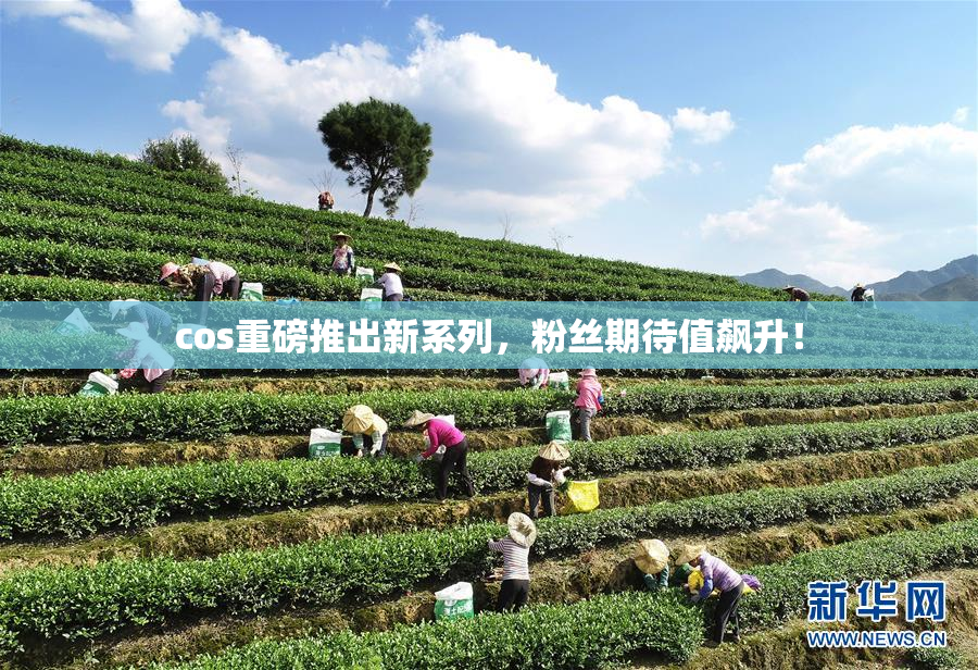 cos重磅推出新系列，粉丝期待值飙升！