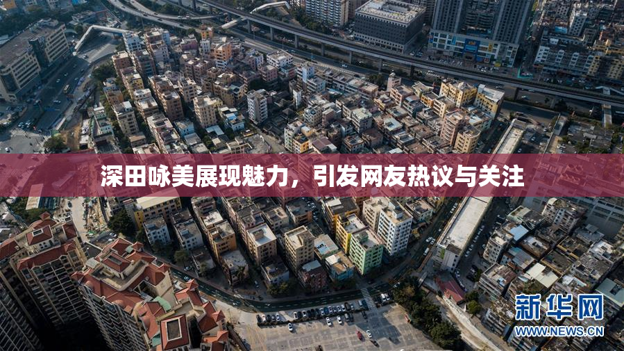 深田咏美展现魅力，引发网友热议与关注