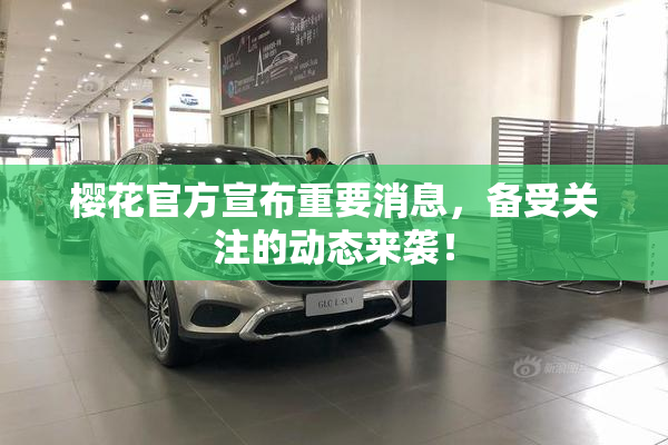 樱花官方宣布重要消息，备受关注的动态来袭！