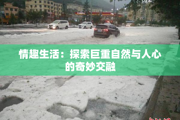 情趣生活：探索巨重自然与人心的奇妙交融