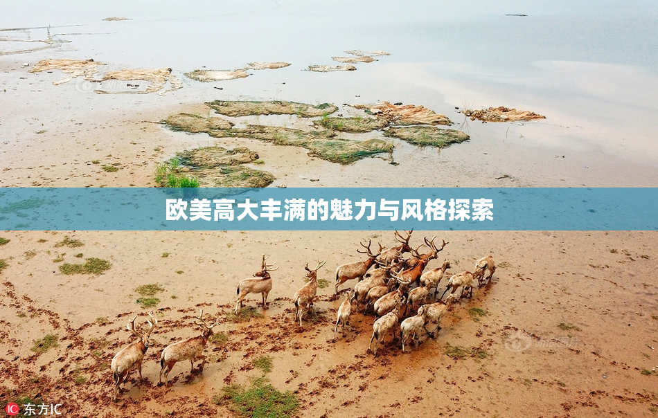 欧美高大丰满的魅力与风格探索