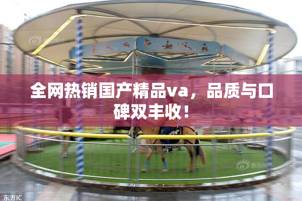 全网热销国产精品va，品质与口碑双丰收！