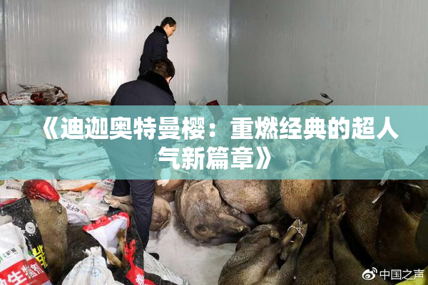 《迪迦奥特曼樱：重燃经典的超人气新篇章》