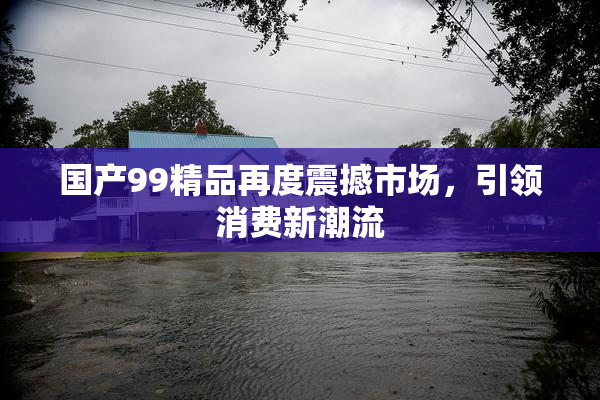 国产99精品再度震撼市场，引领消费新潮流