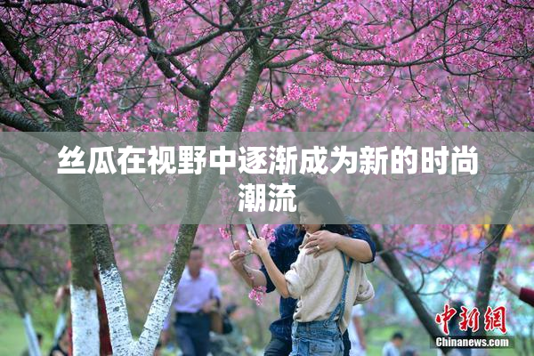 丝瓜在视野中逐渐成为新的时尚潮流