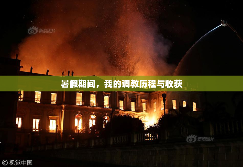 暑假期间，我的调教历程与收获