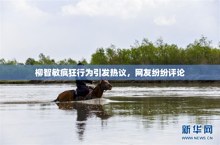 柳智敏疯狂行为引发热议，网友纷纷评论