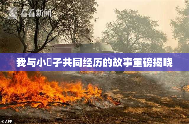 我与小娻孑共同经历的故事重磅揭晓