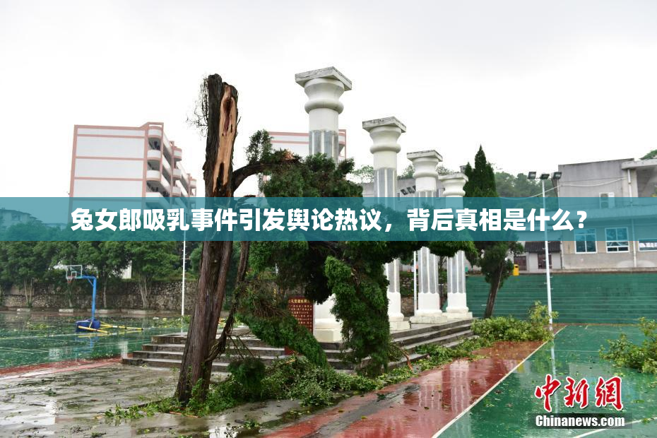 兔女郎吸乳事件引发舆论热议，背后真相是什么？