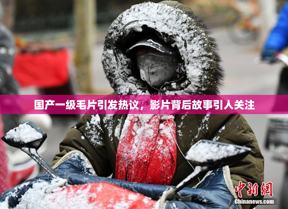 国产一级毛片引发热议，影片背后故事引人关注