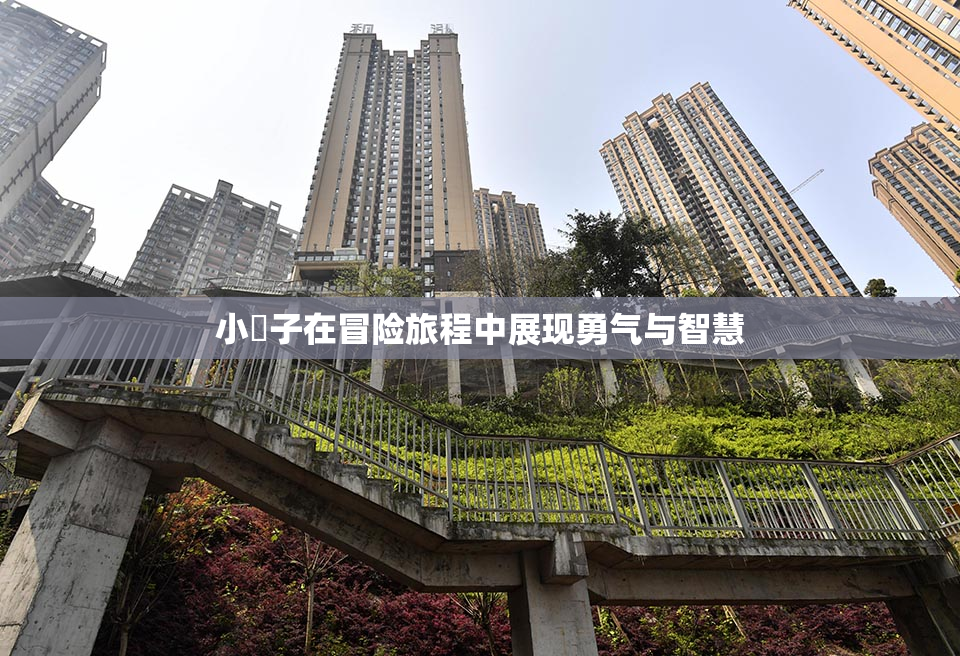 小峓子在冒险旅程中展现勇气与智慧