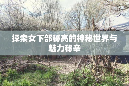 探索女下部秘高的神秘世界与魅力秘辛