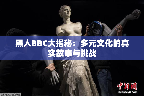 黑人BBC大揭秘：多元文化的真实故事与挑战